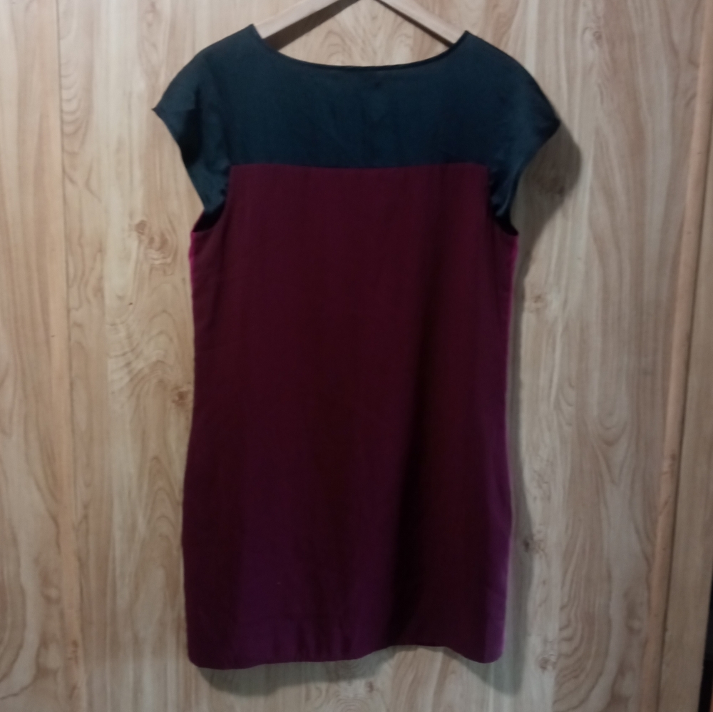 EXPRESS Two-Toned Tunic Dress